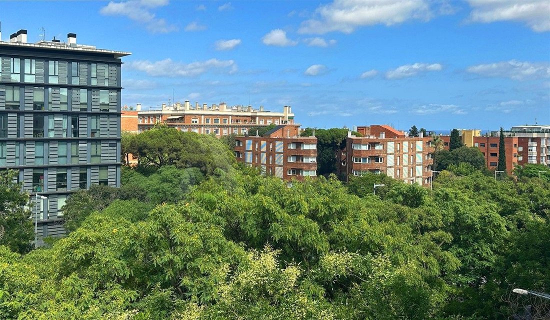 Apartment in Sarrià-Sant Gervasi, Barcelona, Spain 4 - 18649209