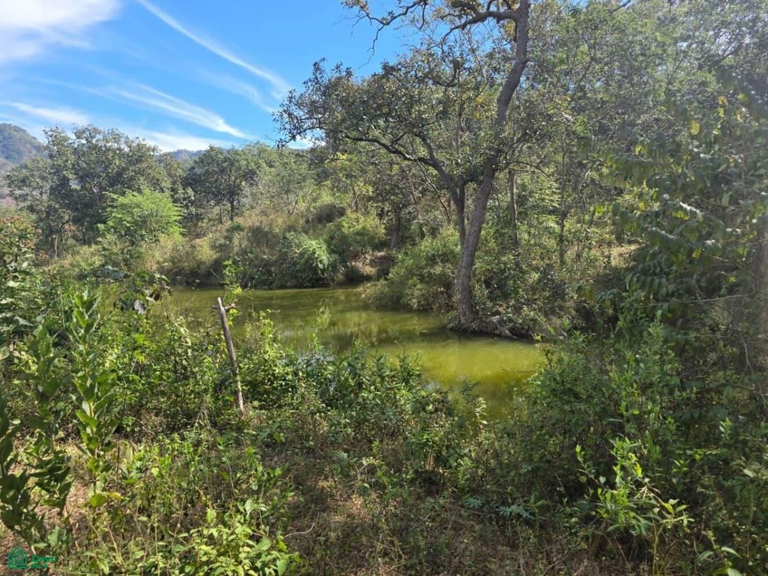 Land in Manzanillo, Colima, Mexico 4 - 17811059