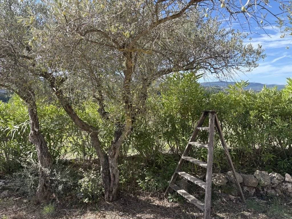 Estate in Carcès, Provence-Alpes-Côte d'Azur, France 1 - 16749288