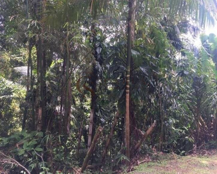 Land in Guarujá, State of São Paulo, Brazil 3 - 18649469
