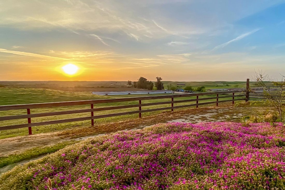 Farm Ranch in Snelling, California, United States 4 - 18649397