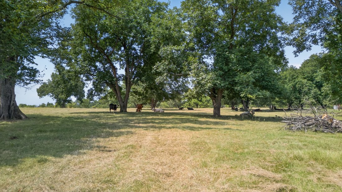 Land in Palestine, Texas, United States 3 - 18649677