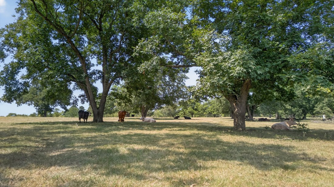Land in Palestine, Texas, United States 4 - 18649677