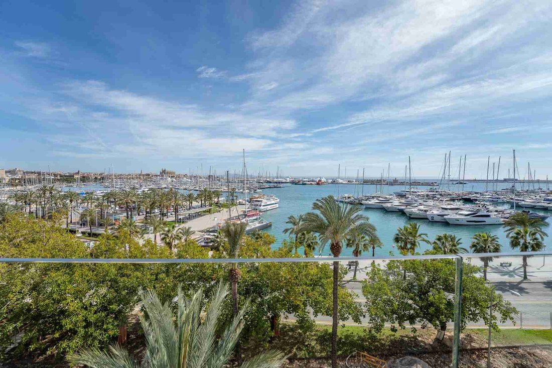 Apartment in Palma, Balearic Islands, Spain 5 - 18645878
