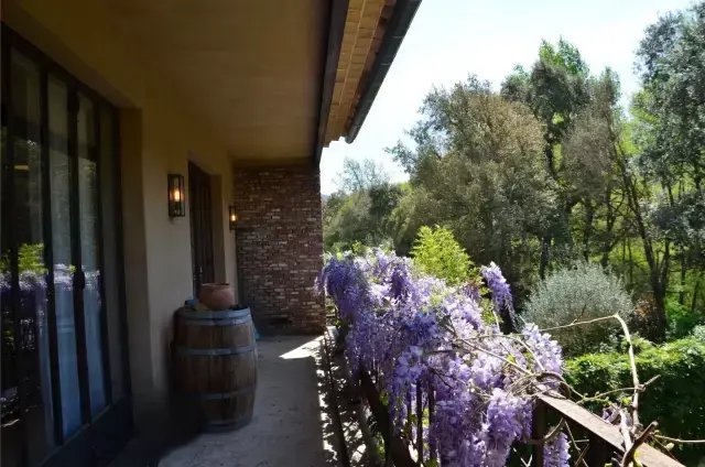 Apartment in La Môle, Provence-Alpes-Côte d'Azur, France 3 - 16408815