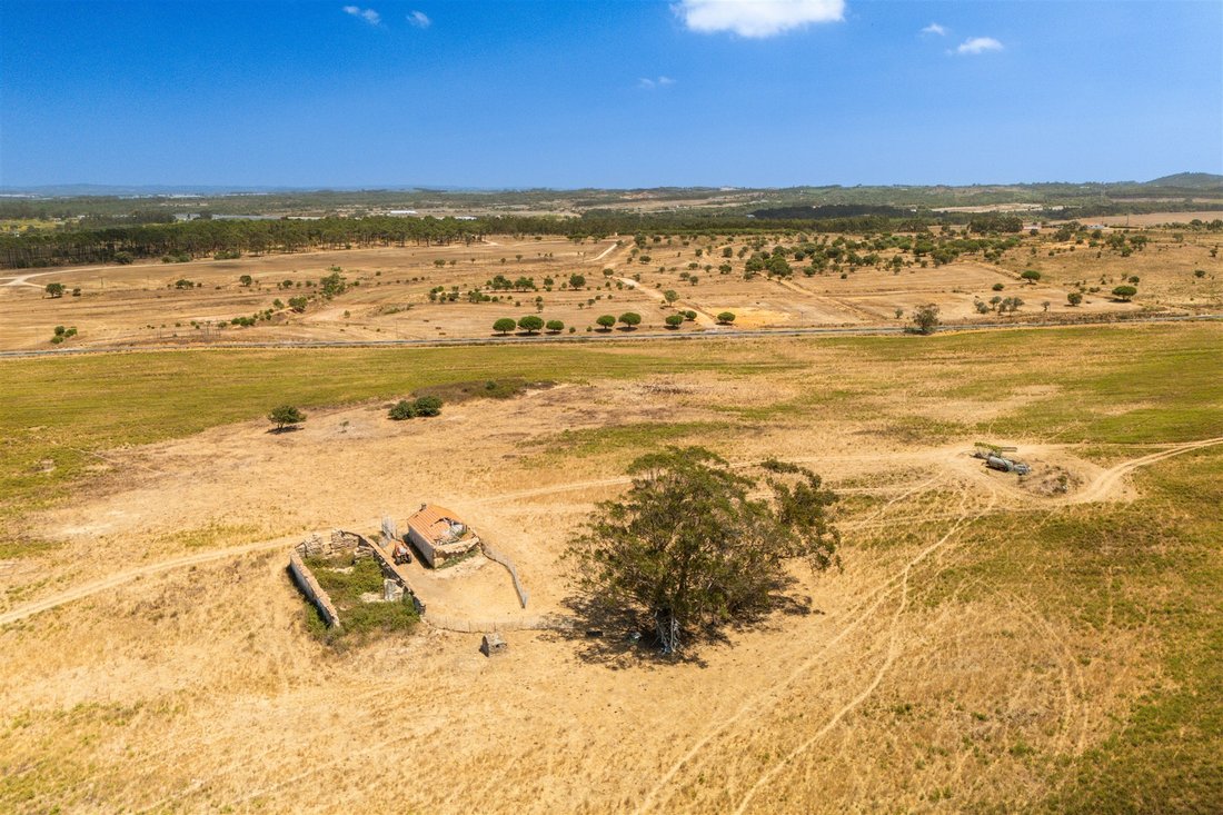 Farm Ranch in Sao Salvador e Santa Maria, Beja District, Portugal 4 - 18649688