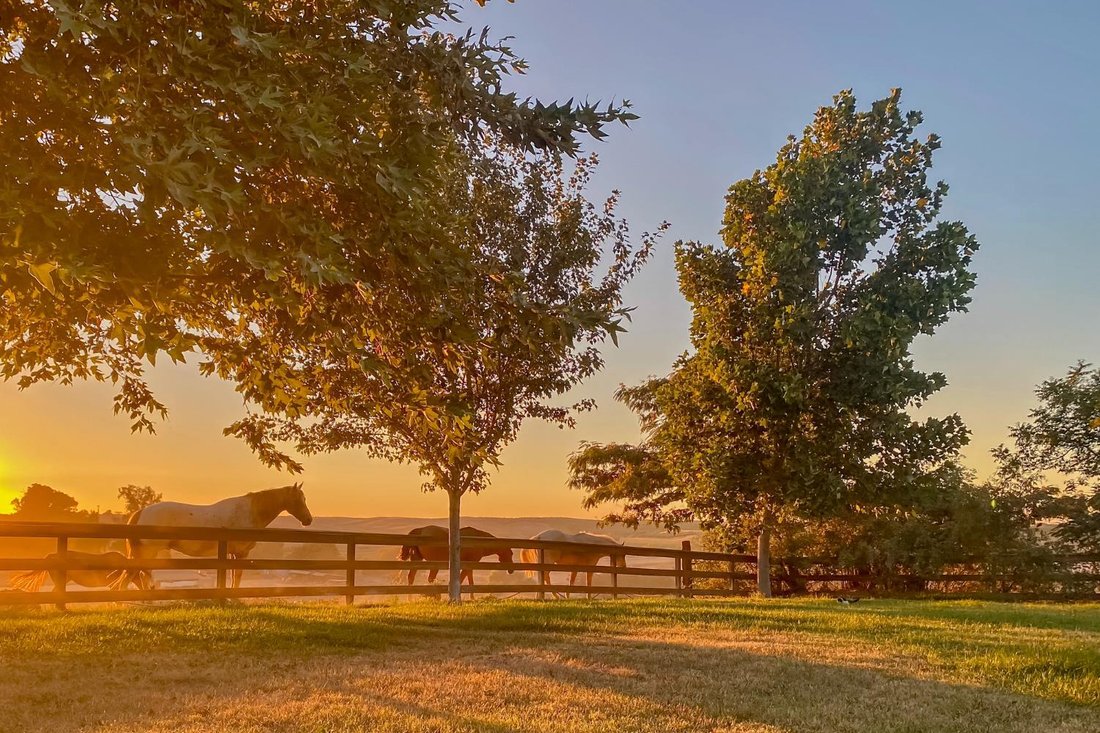 Farm Ranch in Snelling, California, United States 2 - 18649397