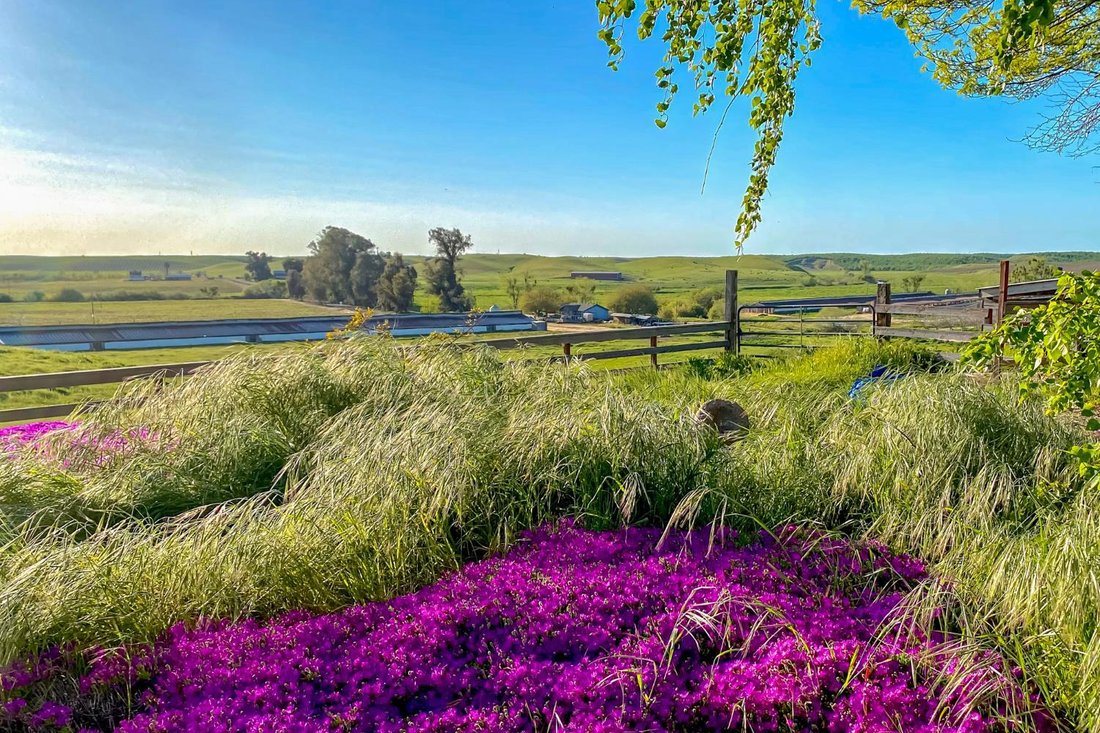 Farm Ranch in Snelling, California, United States 3 - 18649397