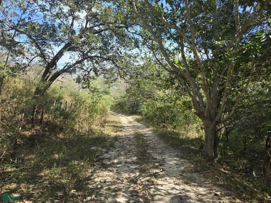 Land in Manzanillo, Colima, Mexico 3 - 17811059