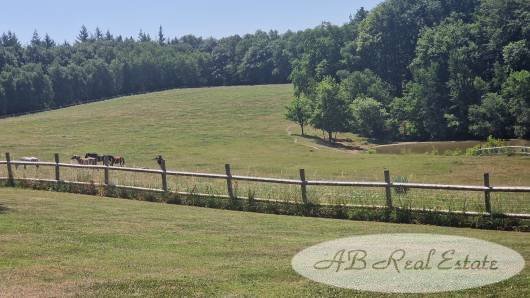 Farm Ranch in Centre Ancien, Pamiers, France 4 - 18649957