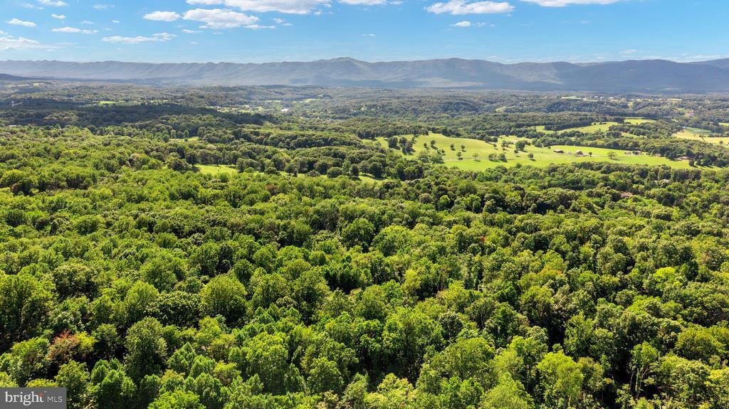 Land in Front Royal, Virginia, United States 4 - 18649439