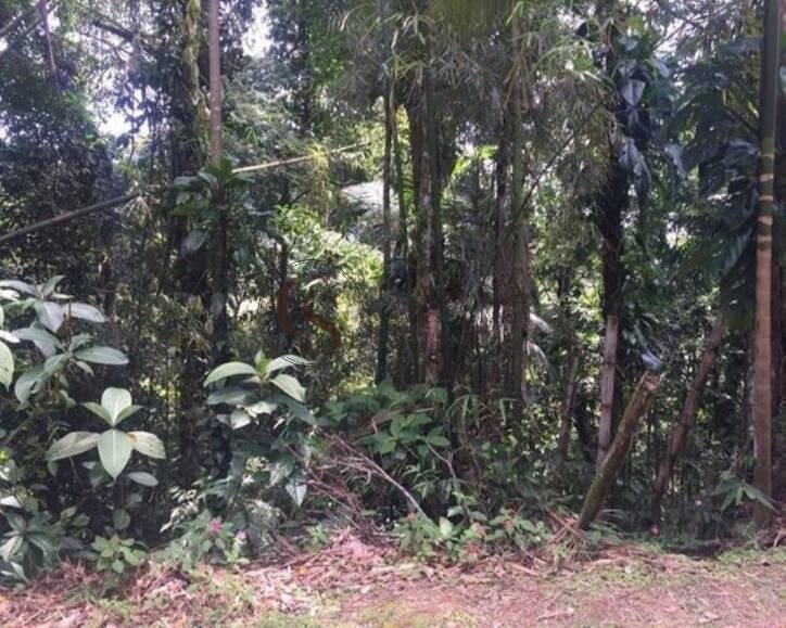Land in Guarujá, State of São Paulo, Brazil 5 - 18649469