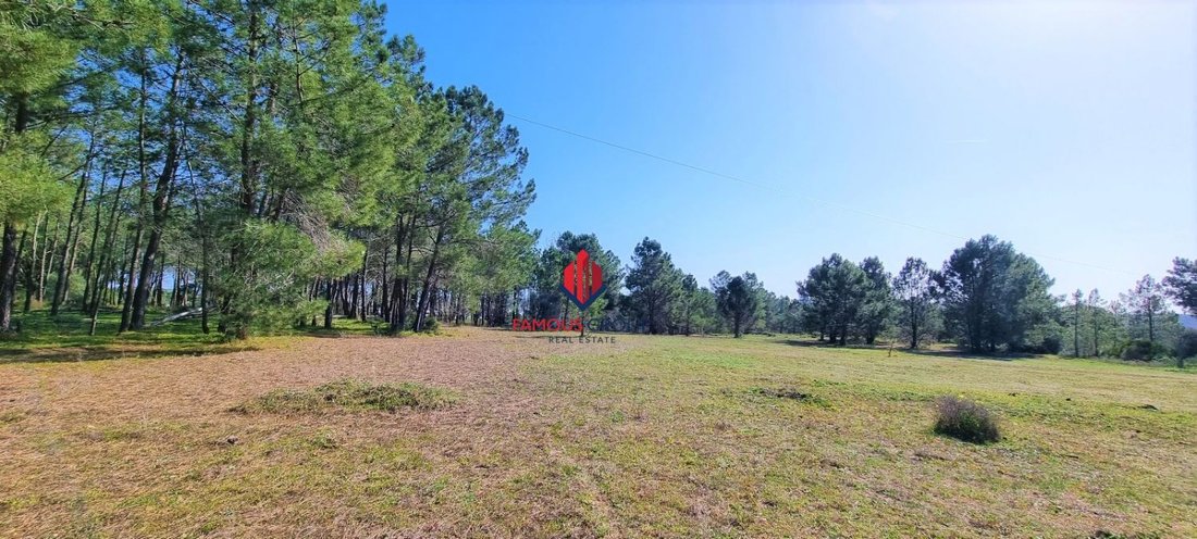 Land in Odiaxere, Algarve, Portugal 4 - 14851692