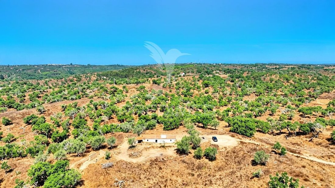 Farm Ranch in Sao Francisco da Serra, Setubal, Portugal 2 - 18565959