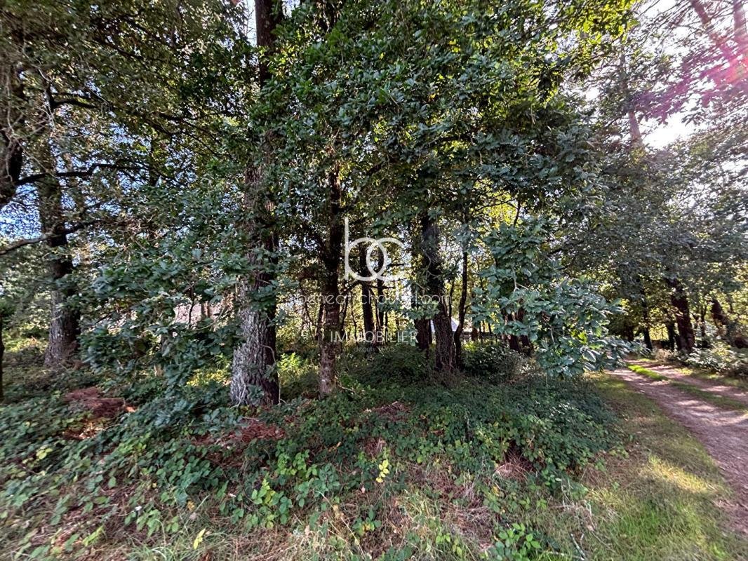 Land in Ouest Péri-Centre Ville, Vannes, France 2 - 18649479