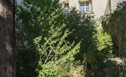 House in Sud, Saint-Jean-de-Vedas, France 1