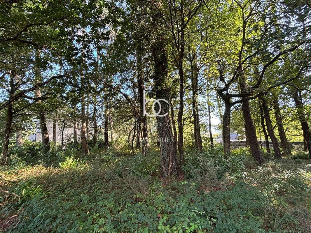 Land in Ouest Péri-Centre Ville, Vannes, France 3 - 18649479