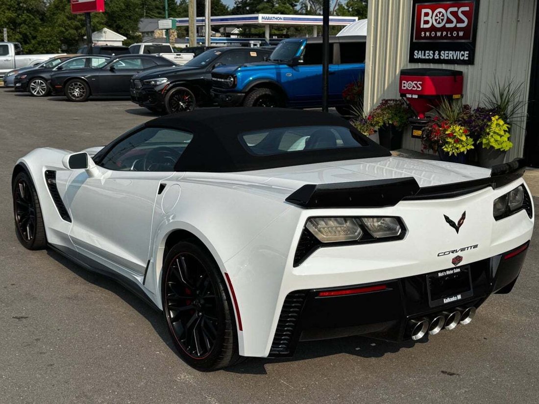 Cabriolet in Kalkaska, MI, United States 4 - 18649790