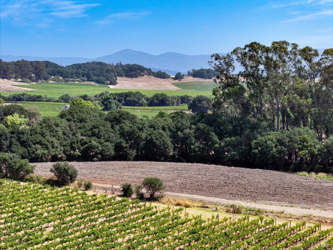 House in Napa, California, United States 4 - 18643376
