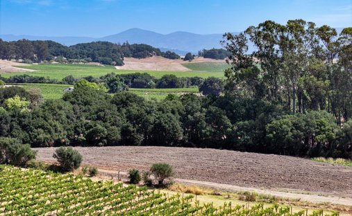 Haus in Napa, Kalifornien, Vereinigte Staaten 1