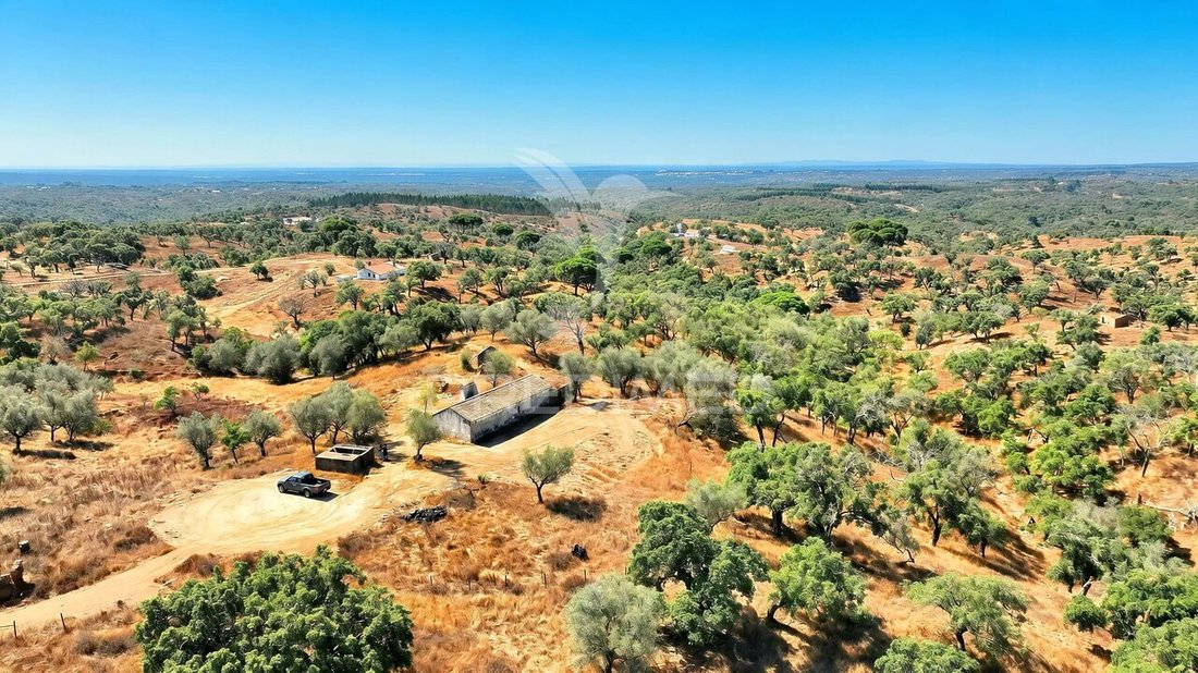 Farm Ranch in Sao Francisco da Serra, Setubal, Portugal 1 - 18565959
