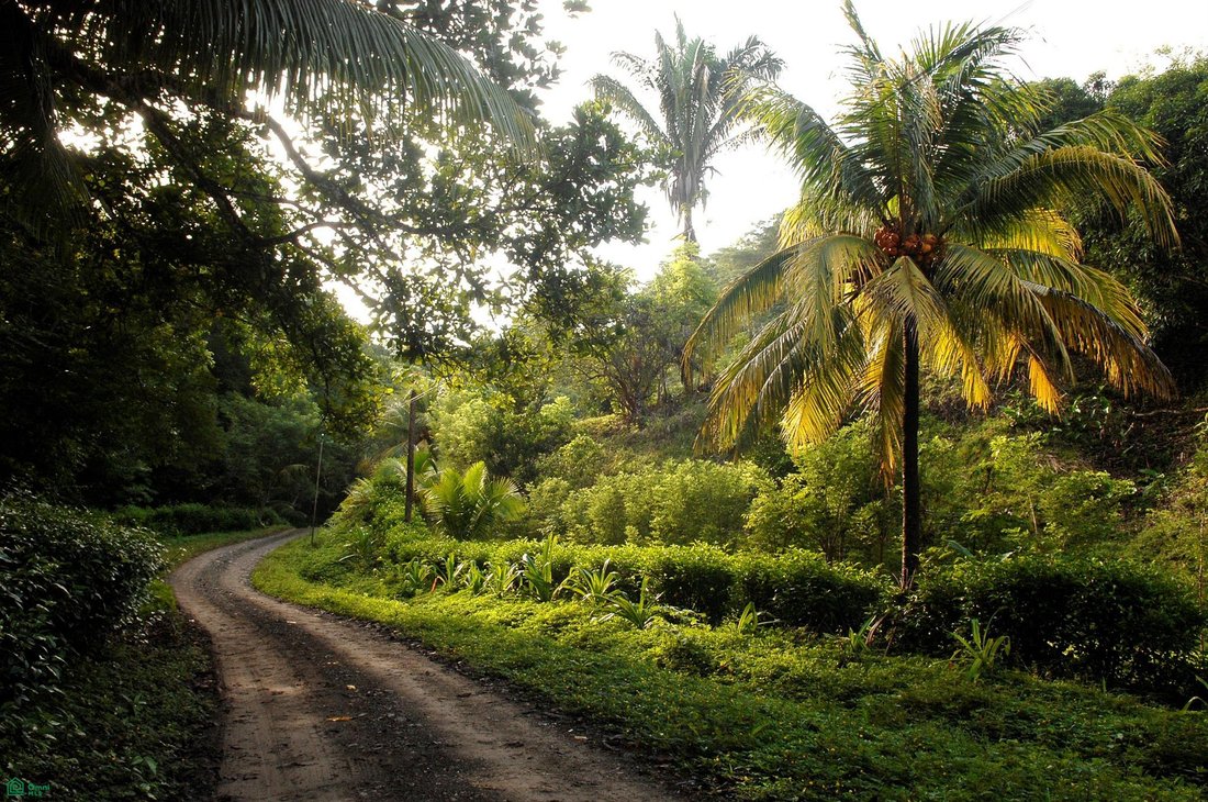 Land in Malpais, Puntarenas Province, Costa Rica 4 - 18648967