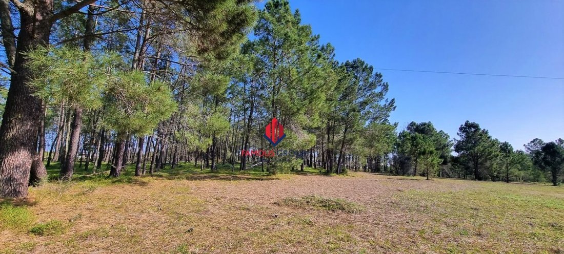Land in Odiaxere, Algarve, Portugal 5 - 14851692