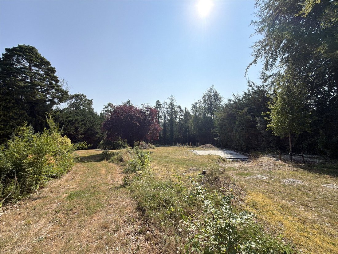 Land in East Horsley, England 5 - 18648836