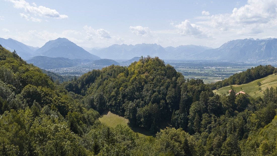 Andere in Fraxern, Vorarlberg, Österreich 4 - 18650039