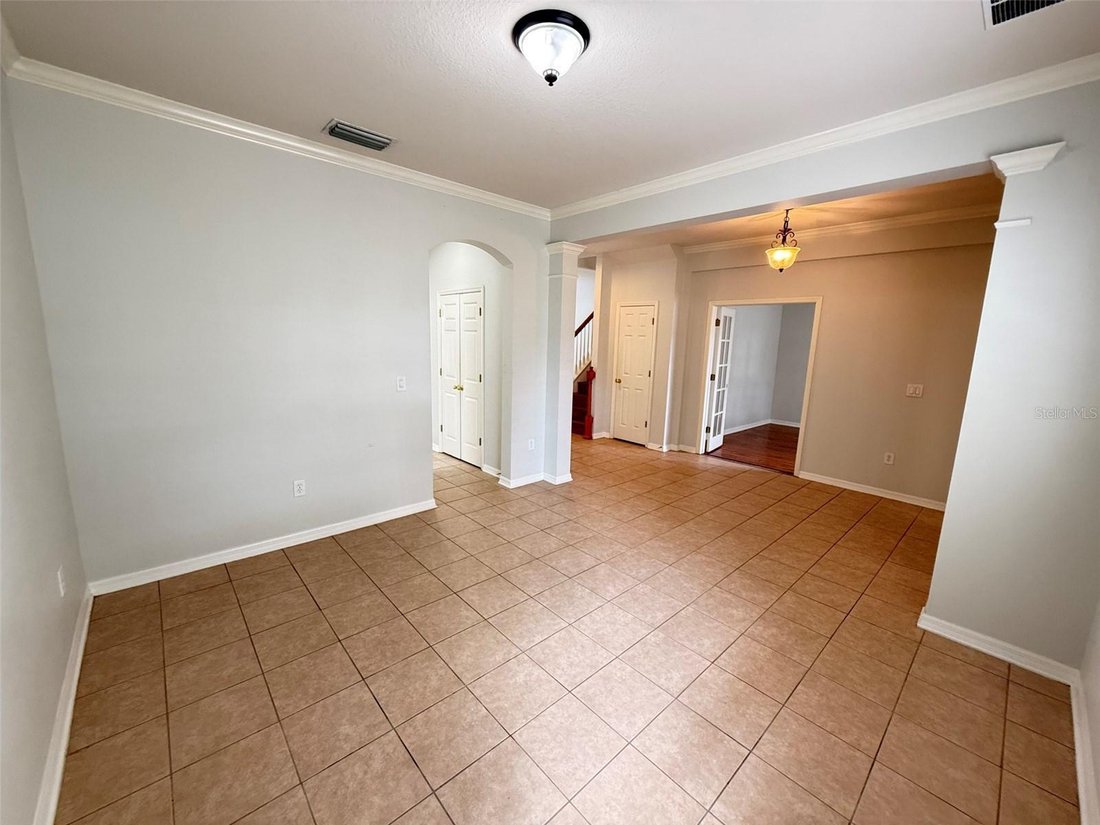 House in Odessa, Florida, United States 5 - 18650907