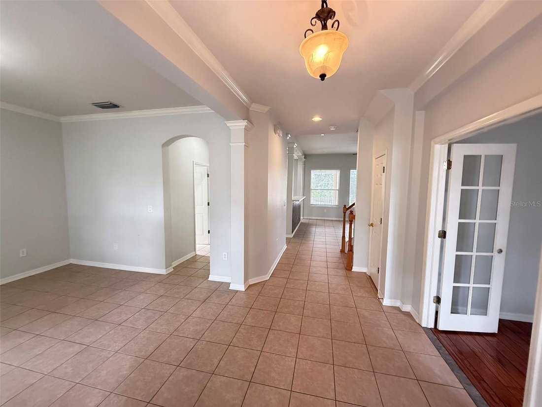 House in Odessa, Florida, United States 3 - 18650907