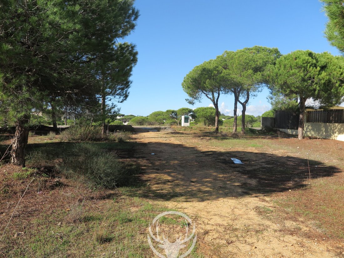 Land in Almancil, Algarve, Portugal 3 - 18435753