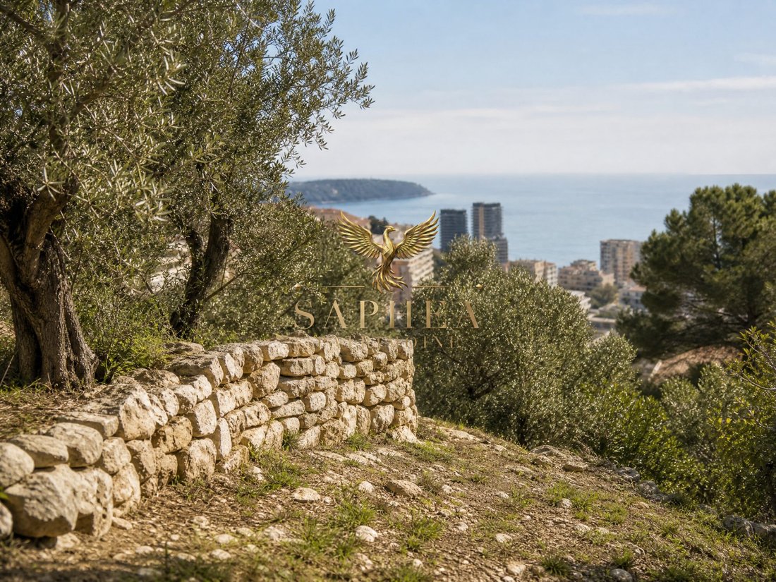 Land in Supérieur, Beausoleil, France 1 - 18656158