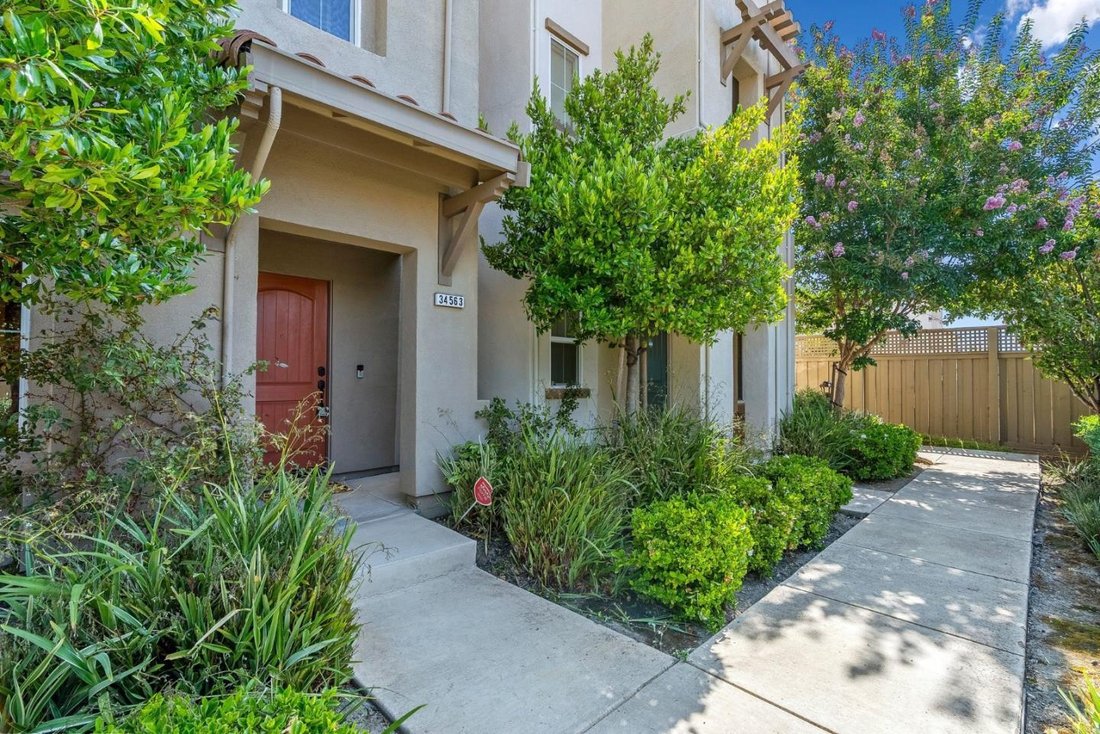 Condo in Newark, California, United States 3 - 18653828