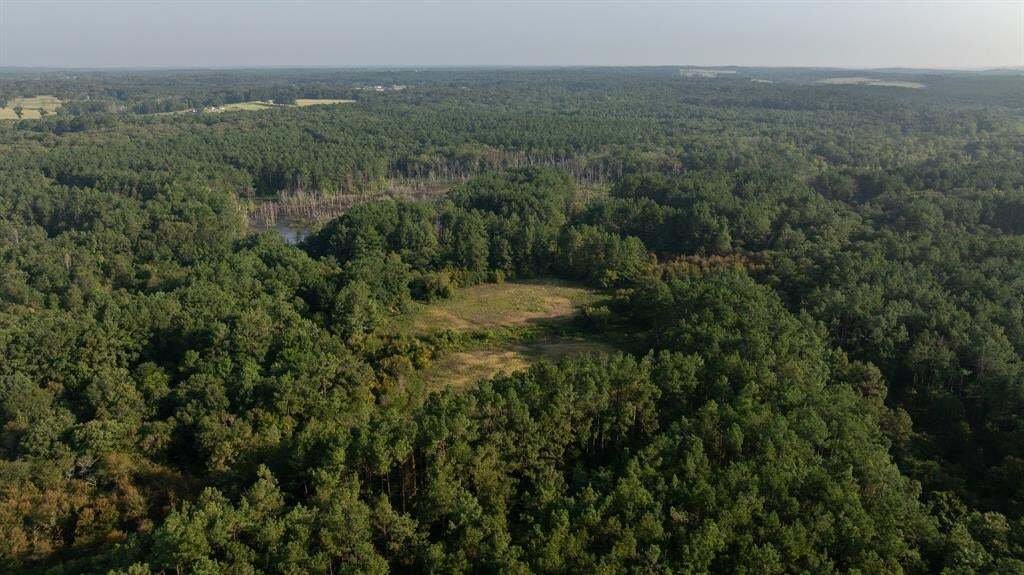 Farm Ranch in Laneville, Texas, United States 4 - 18654641