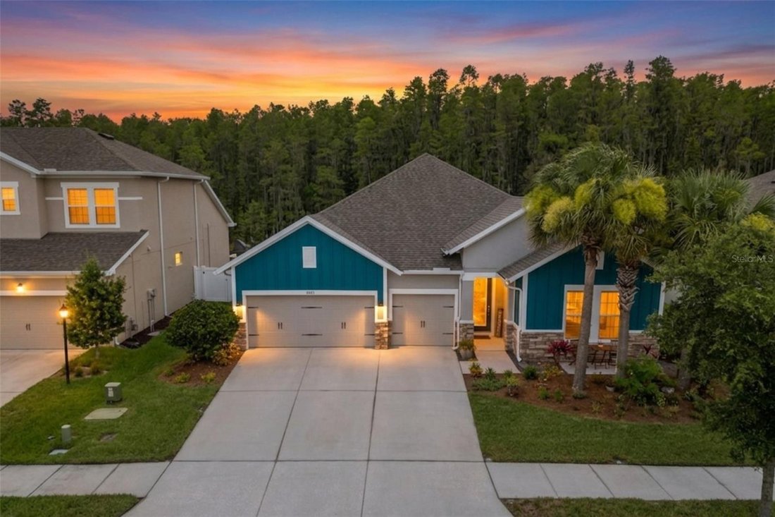 House in Odessa, Florida, United States 1 - 18403319