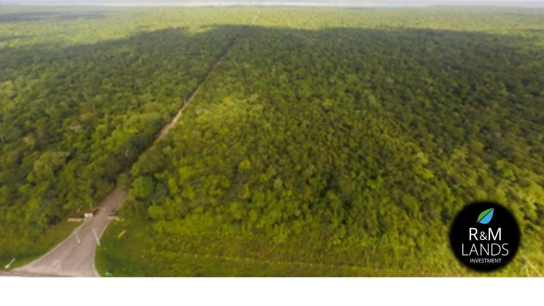 Land in Bacalar, Quintana Roo, Mexico 4 - 18651653