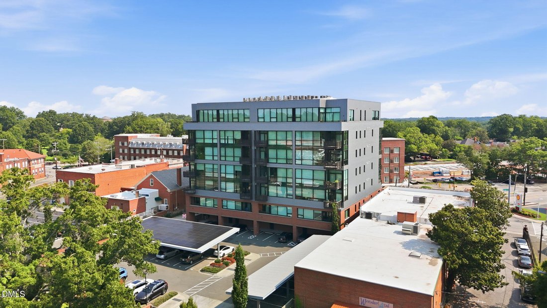 Condo in Durham, North Carolina, United States 3 - 18653921