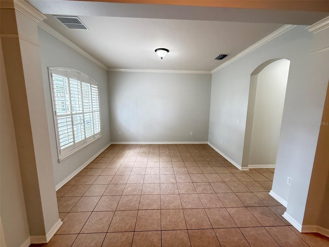 House in Odessa, Florida, United States 4 - 18650907