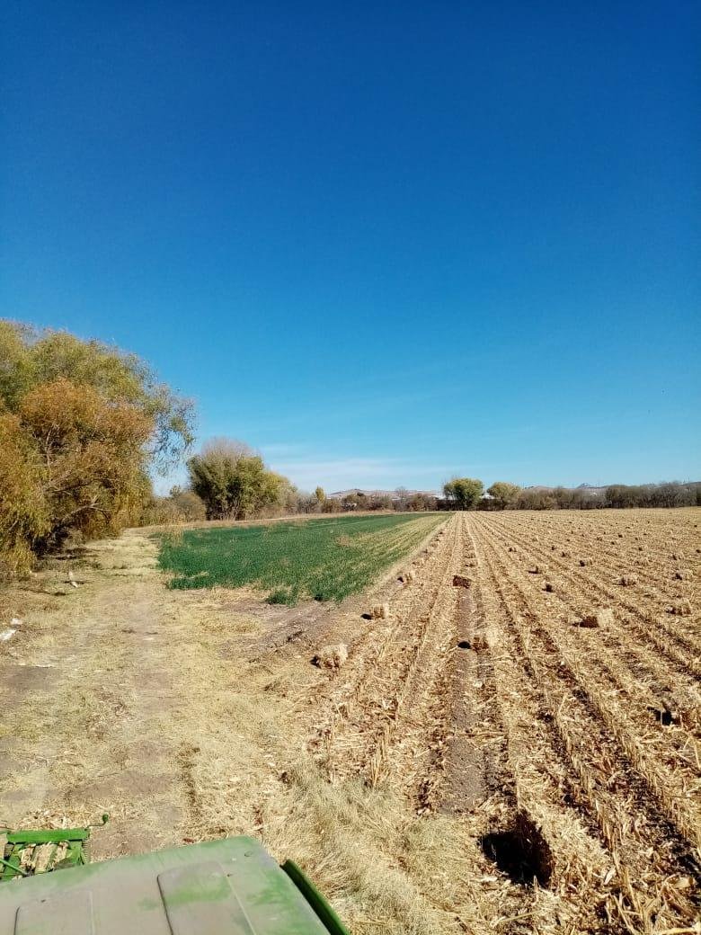 Land in Campo 25, Chihuahua, Mexico 2 - 18655358