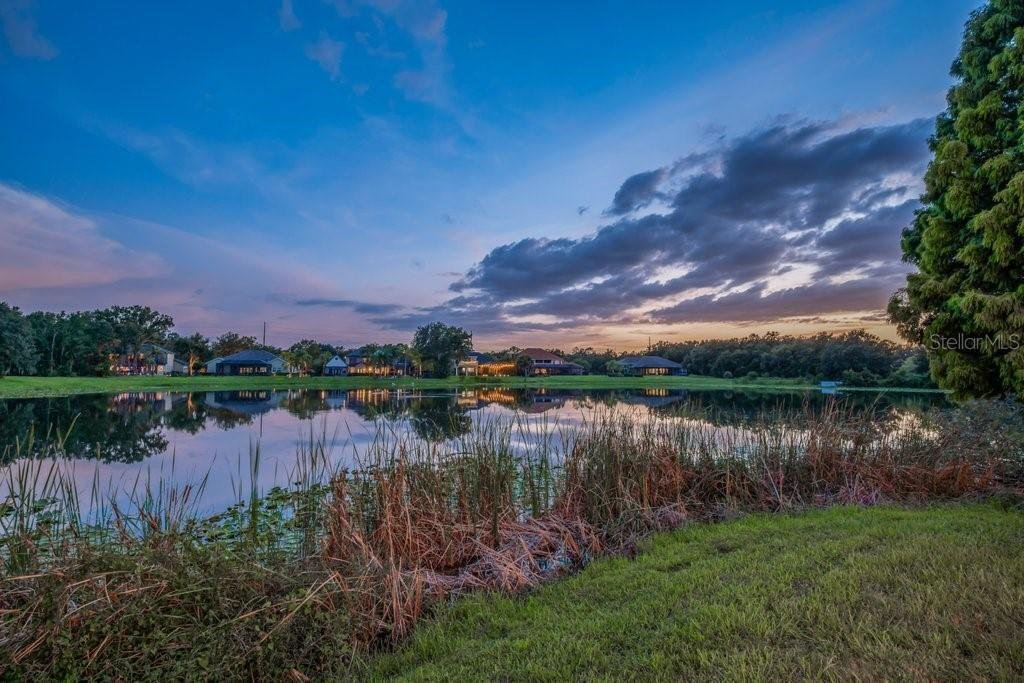 House in Lithia, Florida, United States 5 - 18650898