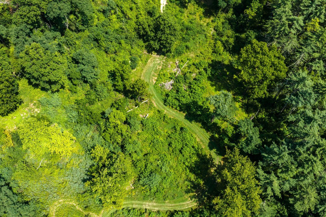 Rhinebeck, New York, United States 4 - 18655988