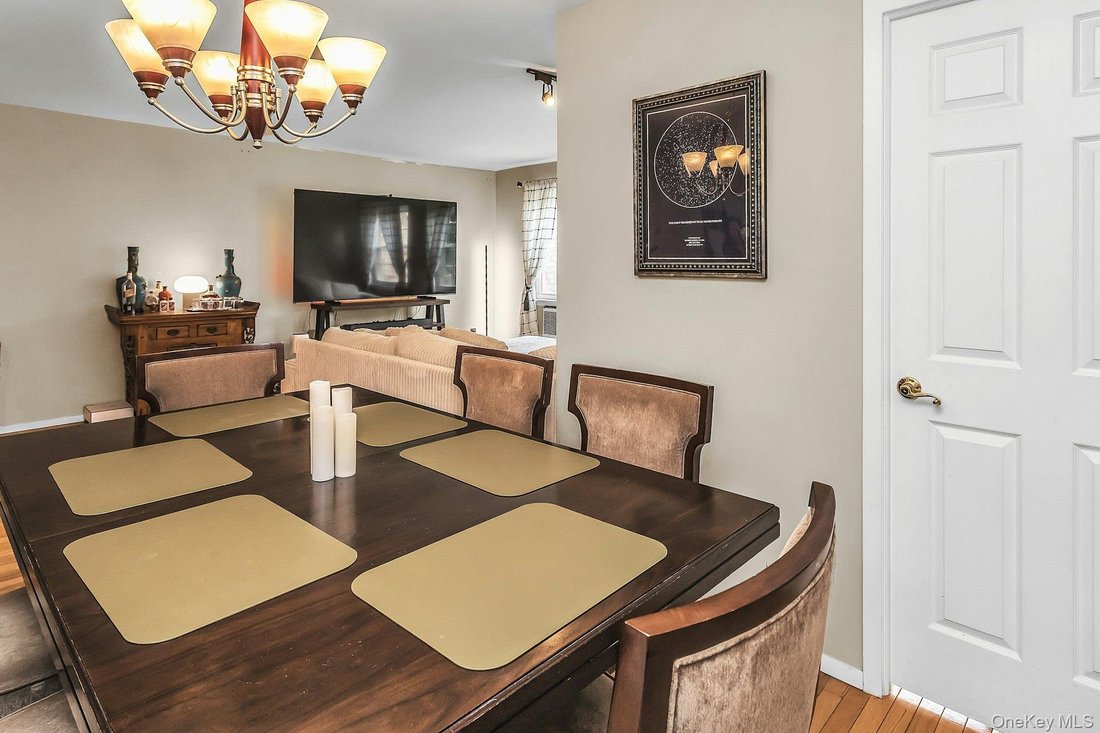 Condo in New York, New York, United States 4 - 18655049