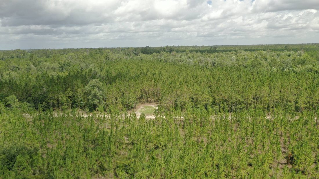 Land in Fargo, Georgia, United States 4 - 18652865