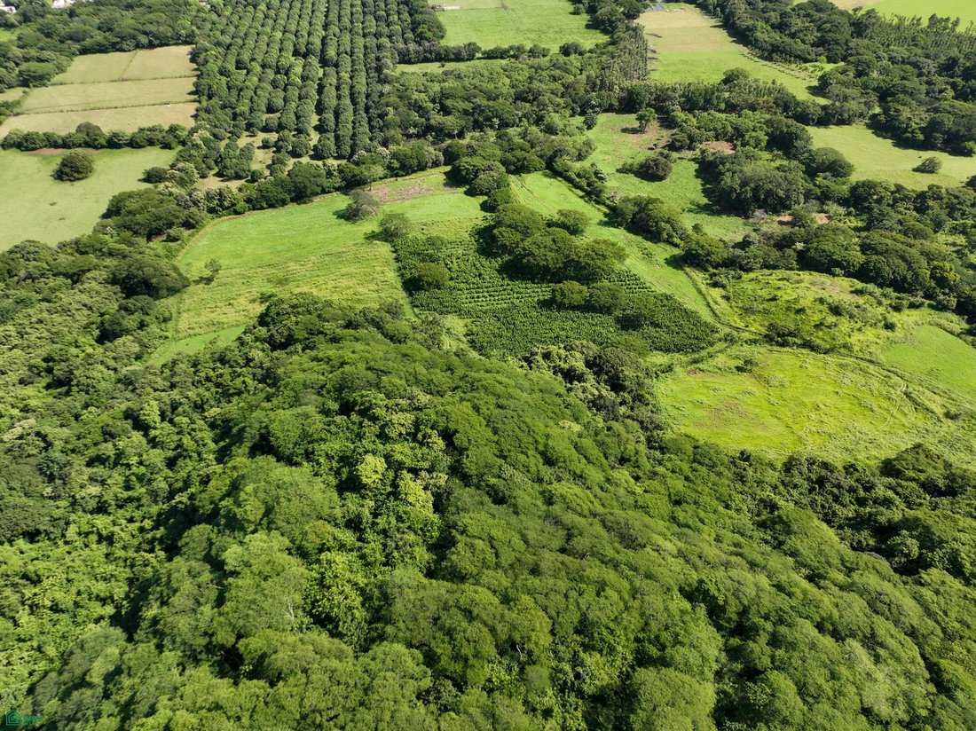 Land in Santa Cruz, Santa Cruz, Costa Rica 4 - 18184254