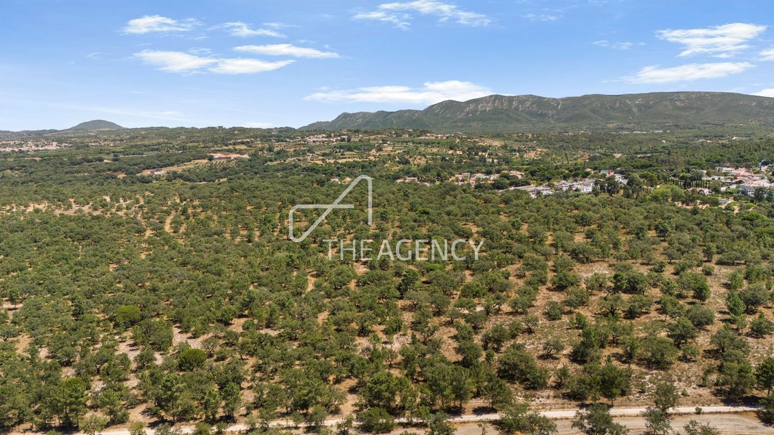 Land in Santiago, Setubal, Portugal 3 - 18655373