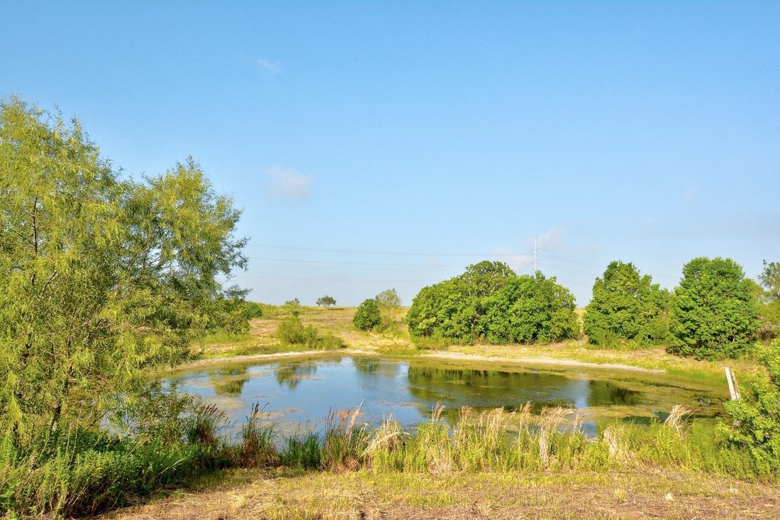 Buda, Texas, United States 5 - 18653435