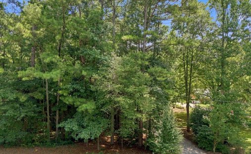 Land in Milton, Georgia, United States 1