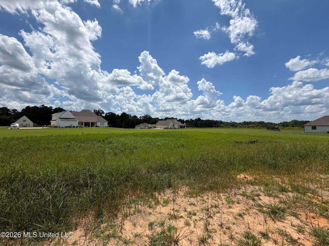 House in Brandon, Mississippi, United States 5 - 18615289