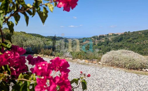Villa in Riparbella, Tuscany, Italy 1